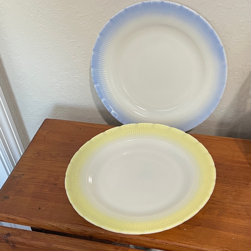 Macbeth-Evan’s Petal Ware Rings Bottom Translucent Moriax Glass 9 in Dinner